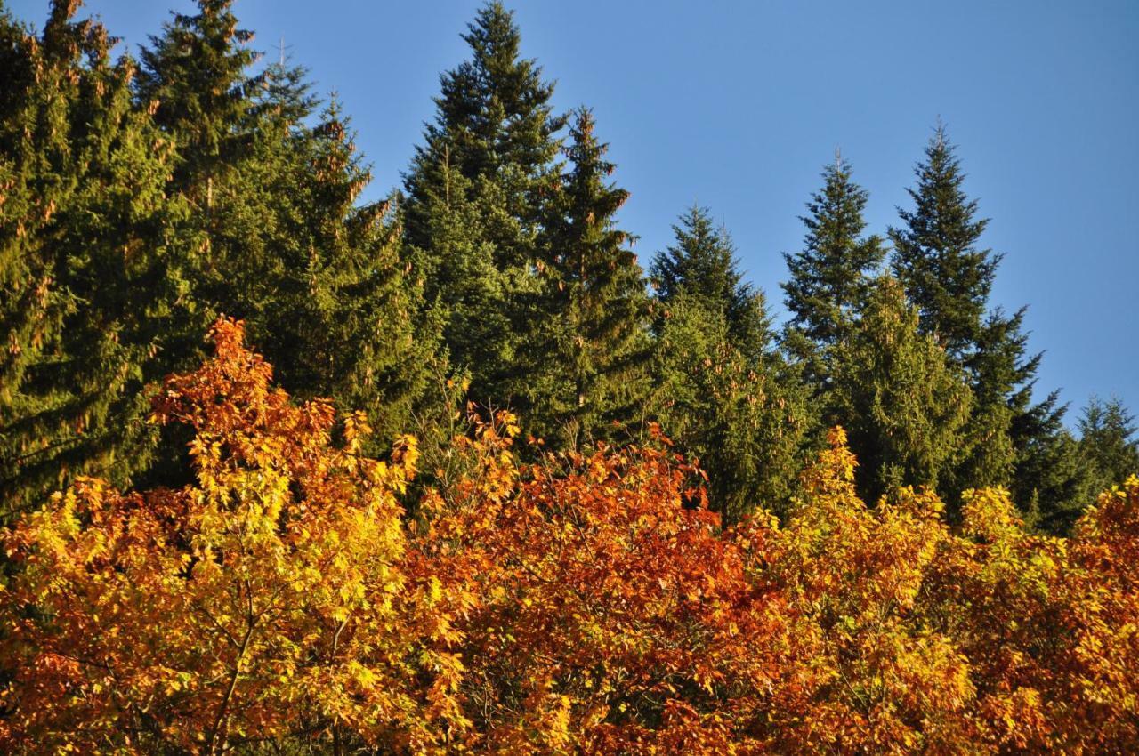 Flair-Hotel Waldfrieden Oberweißbach Kültér fotó